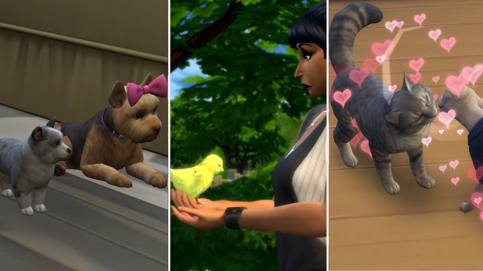 Sims Inbreeding How To Breed Animals In The Sims 4