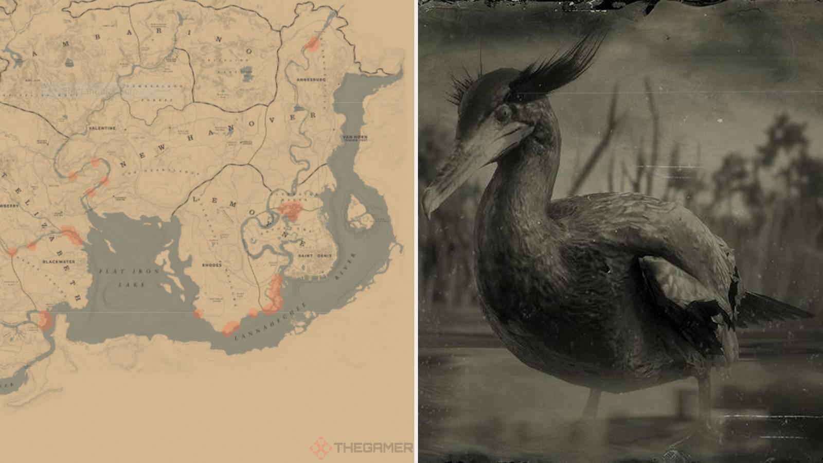 How to get flight feathers rdr2 | Mapsru.com