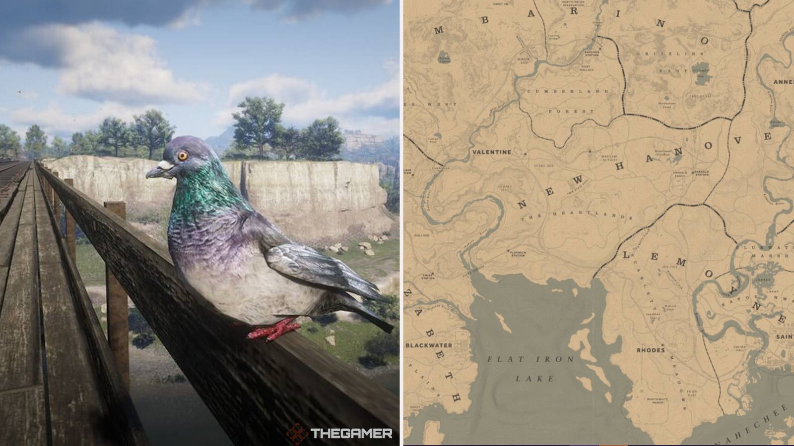 Red Dead Online: Pigeon Hunting Locations
