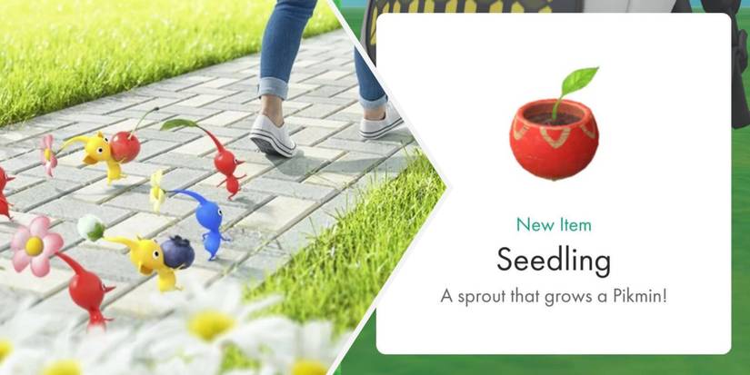 A Beginners Guide To Pikmin Bloom