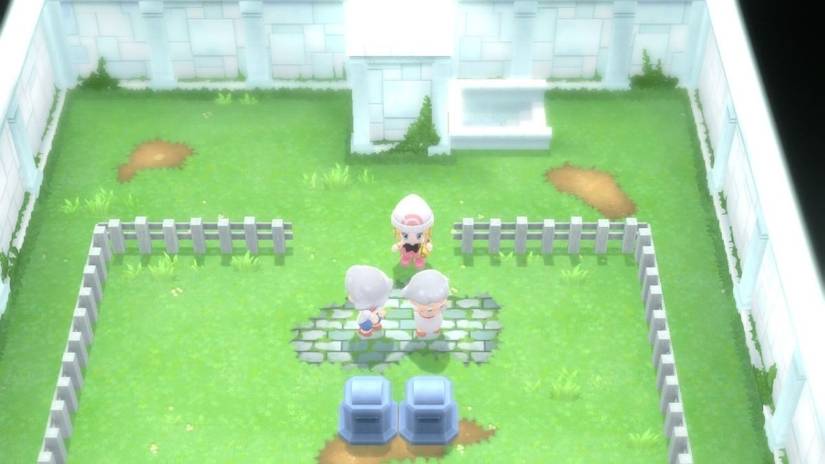 Pokemon BDSP Find Strength