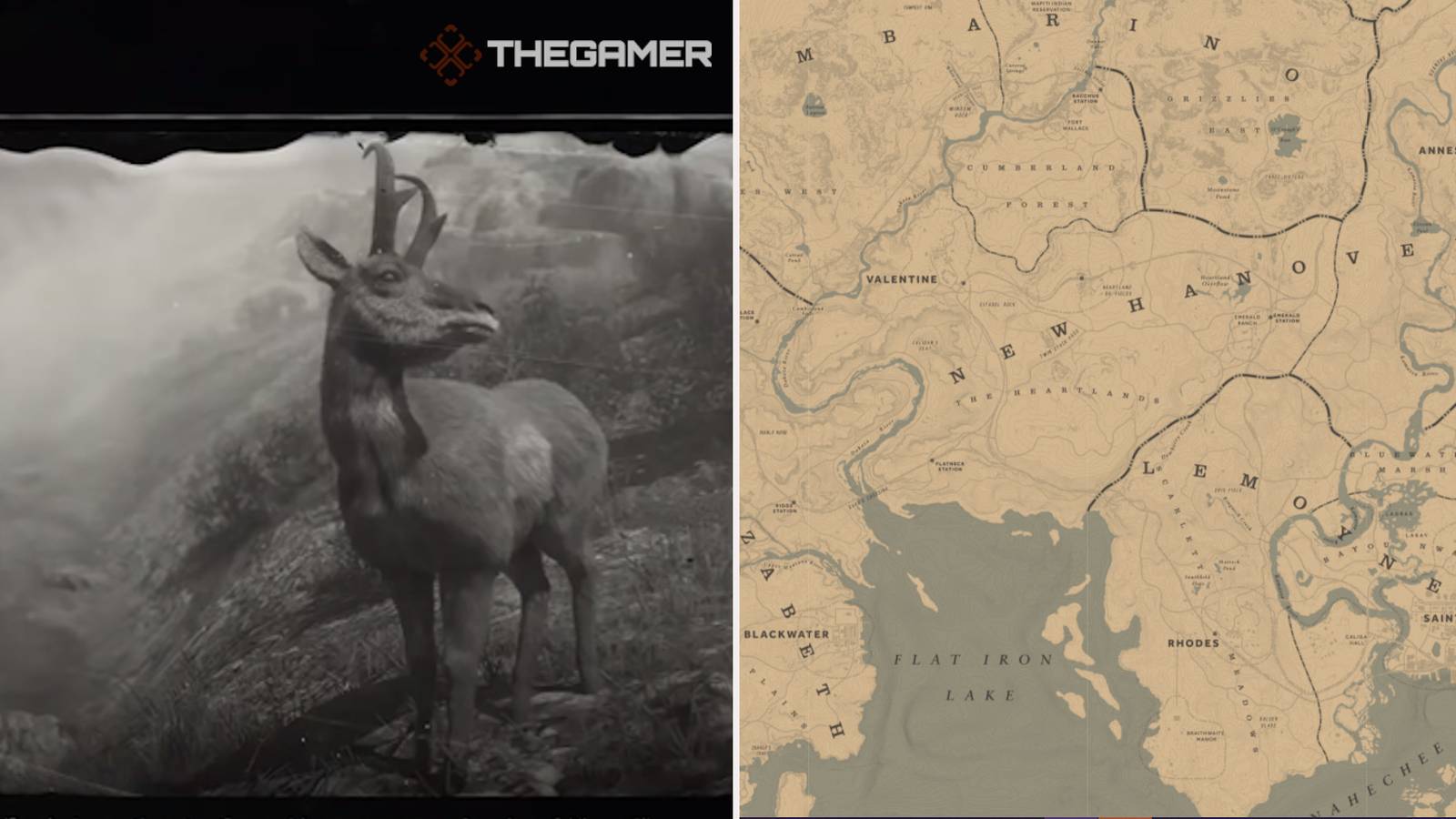 Pronghornd Ranch Rdr2 Where To Find Pronghorns In Red Dead Online