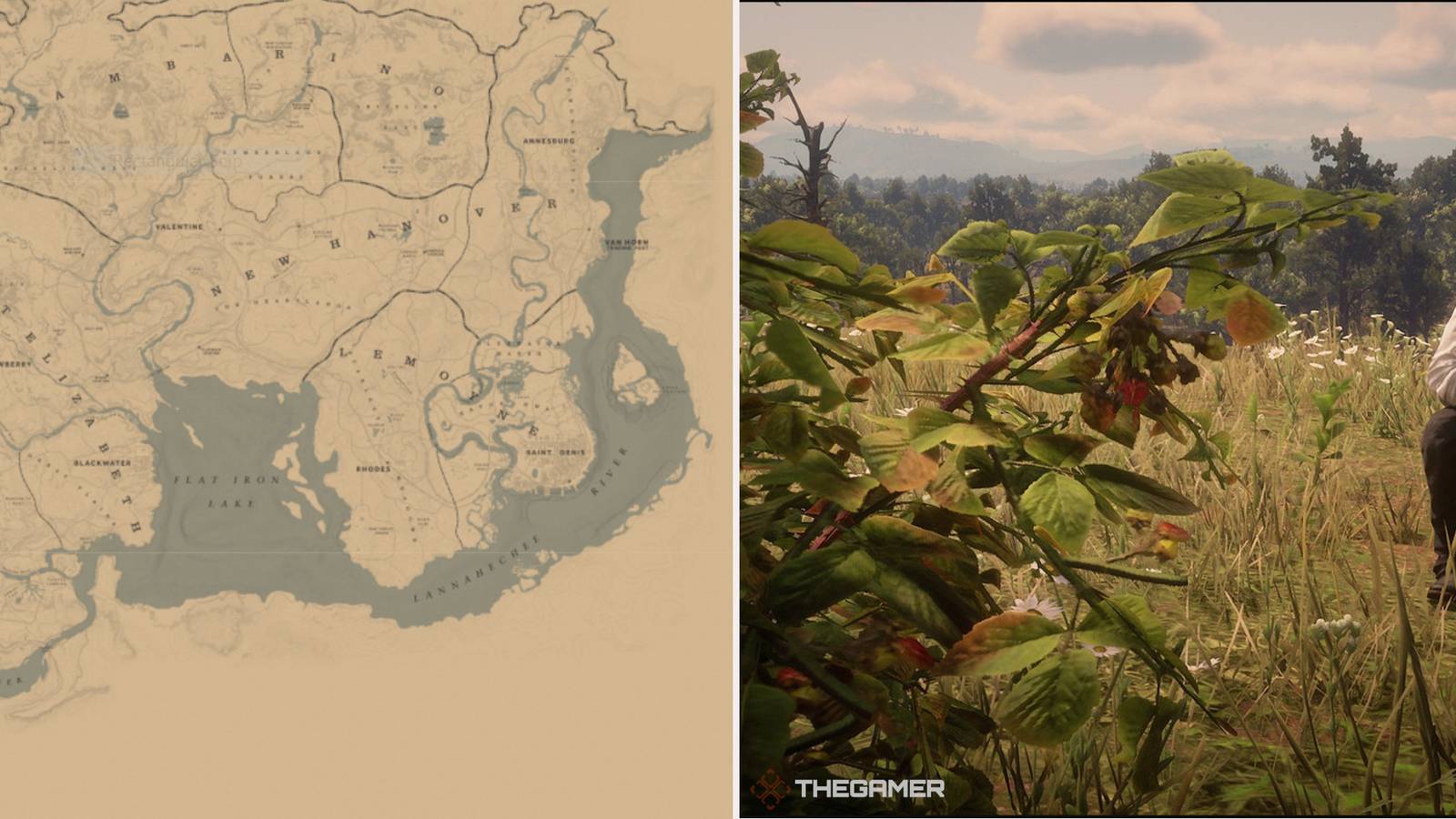 RDO: Best Raspberry Gathering Locations