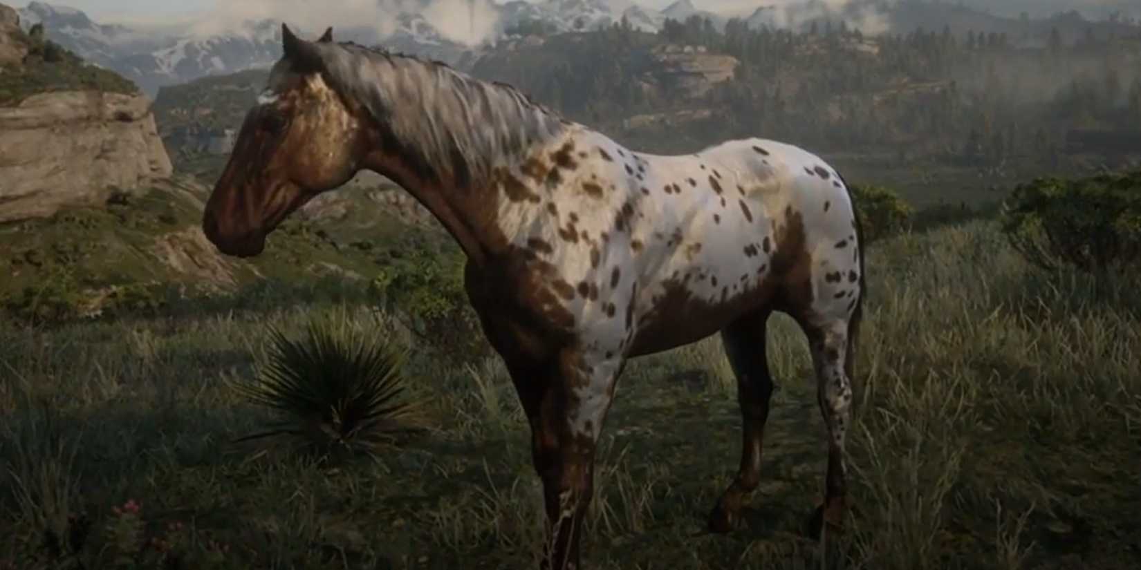 The Best Horse Breeds In RDR2