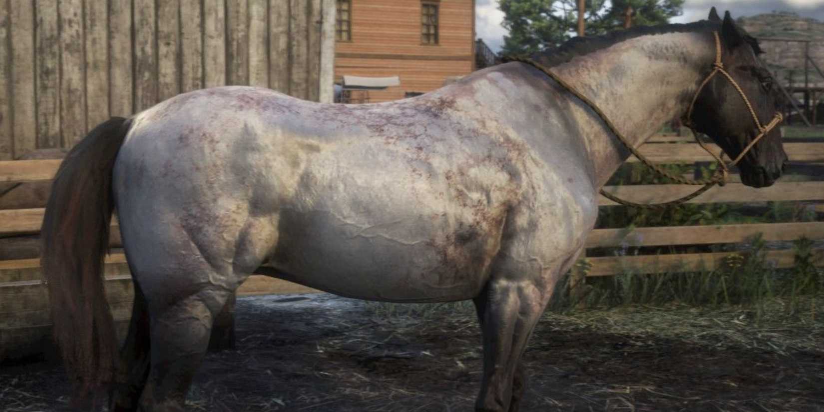 Cremello Rdr2 The Best Horse Breeds In RDR2