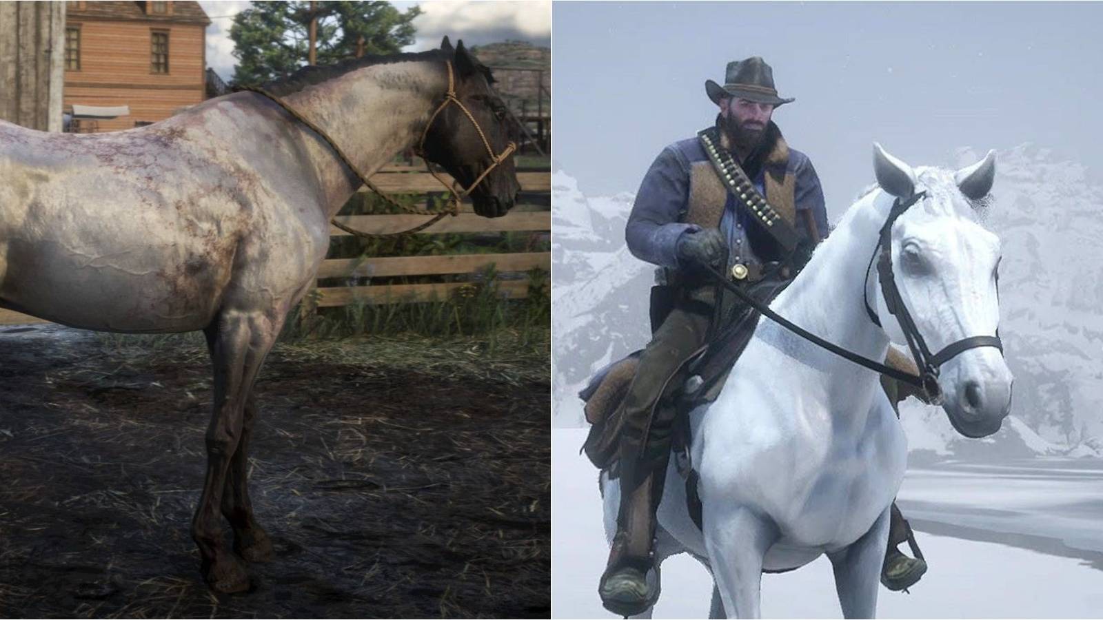 Horsey Rdr2 The Best Horse Breeds In RDR2