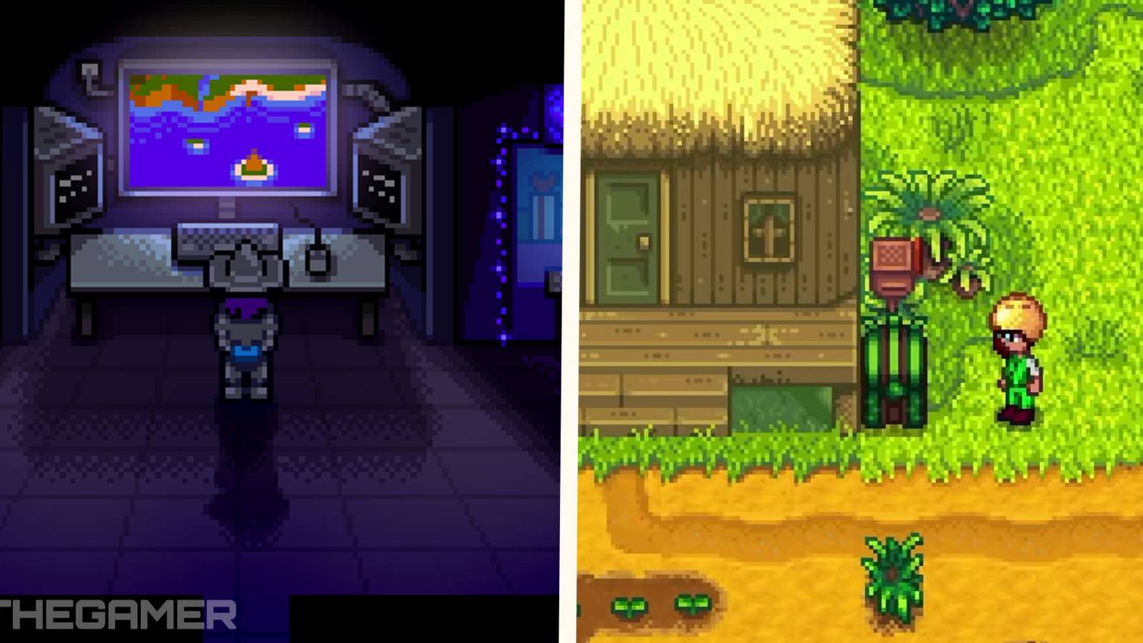 All The Items You Can Buy In The Walnut Room In Stardew Valley