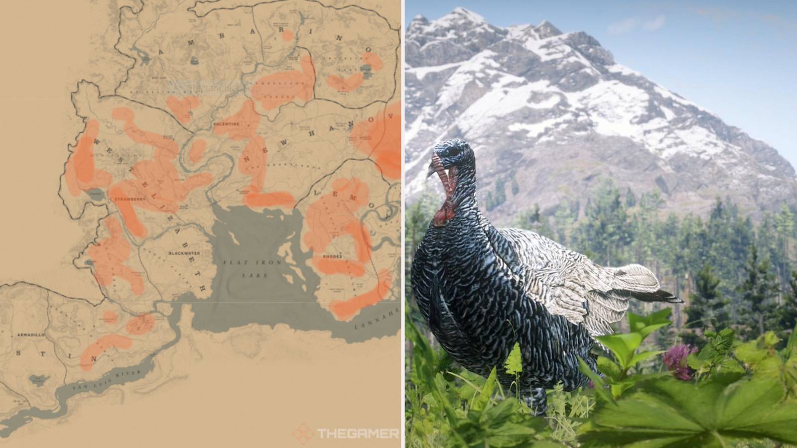 Where To Find Turkeys In Red Dead Online