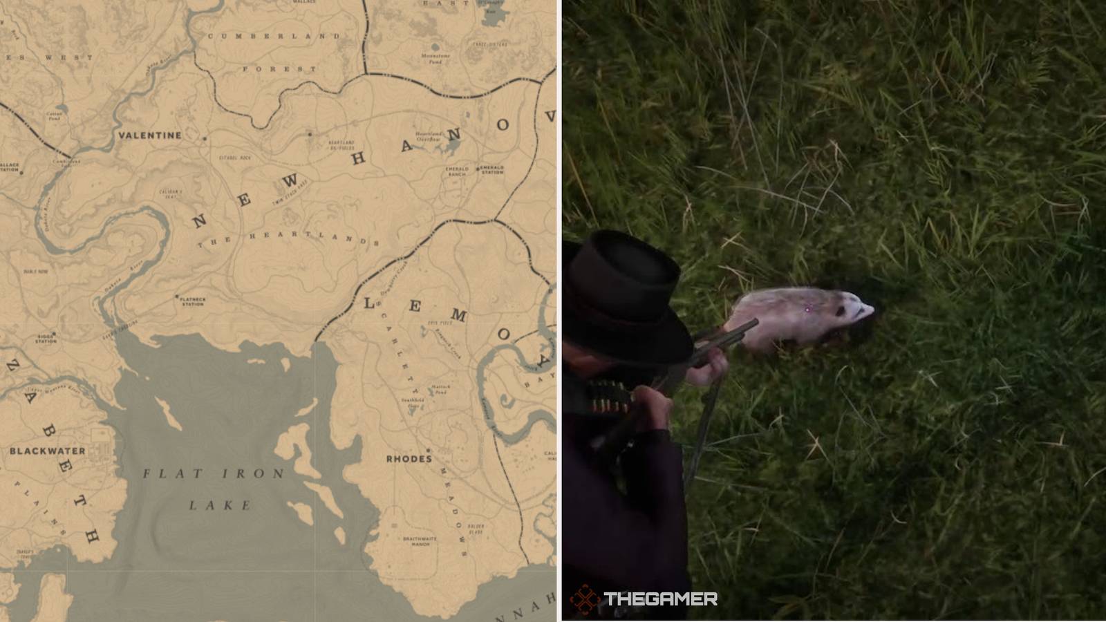 RDO: Virginia Opossum Hunting Guide
