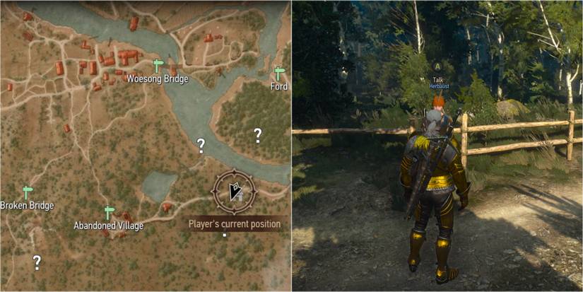 Witcher 3 Split Image Showing White Orchard Herbalist Location