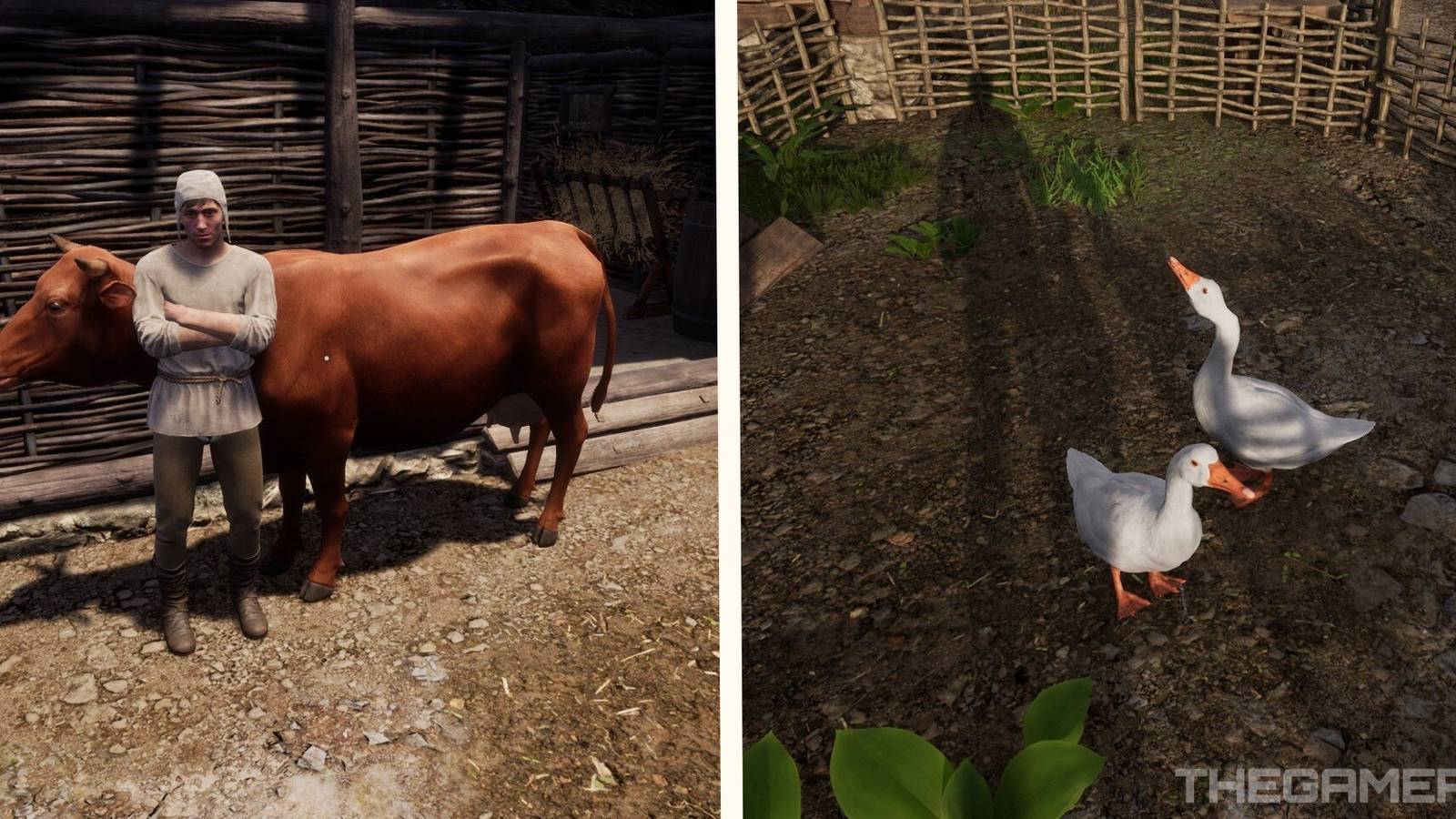 A Guide To Animal Husbandry In Medieval Dynasty