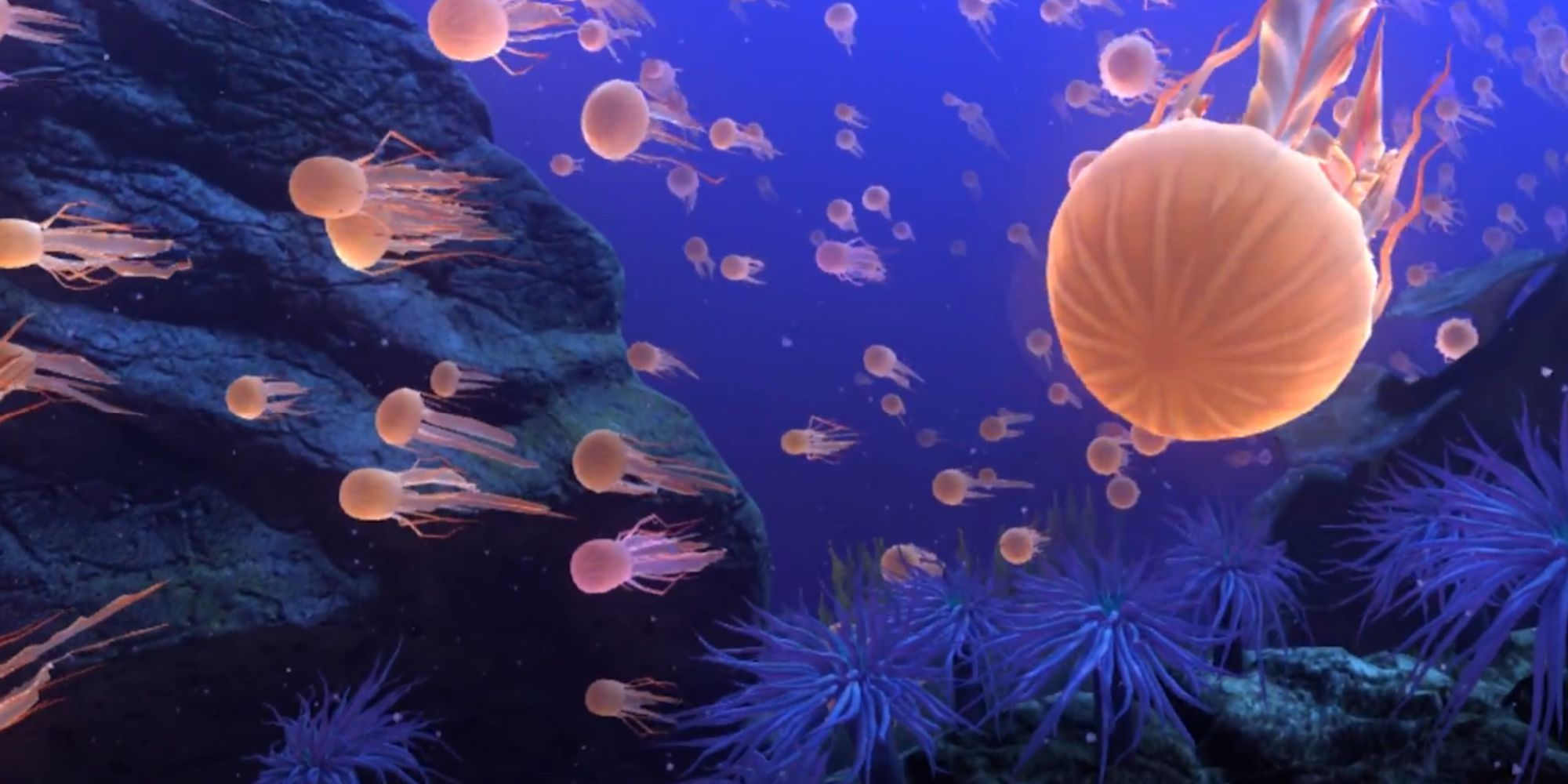 The Best Underwater VR Games