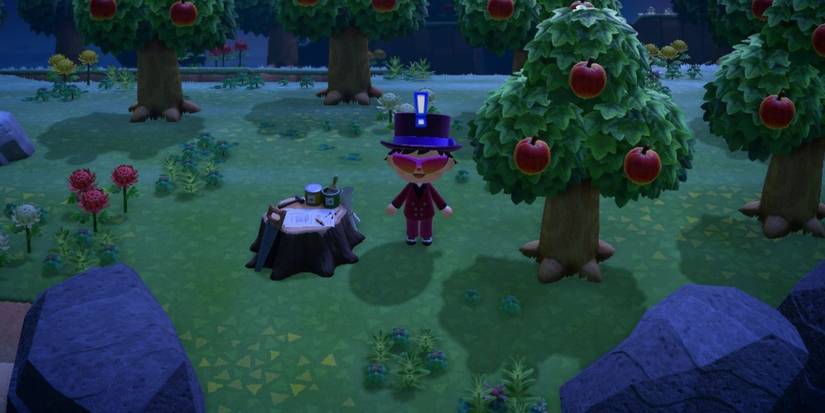 Animal Crossing New Horizons - Player standing on a Nook Miles Island