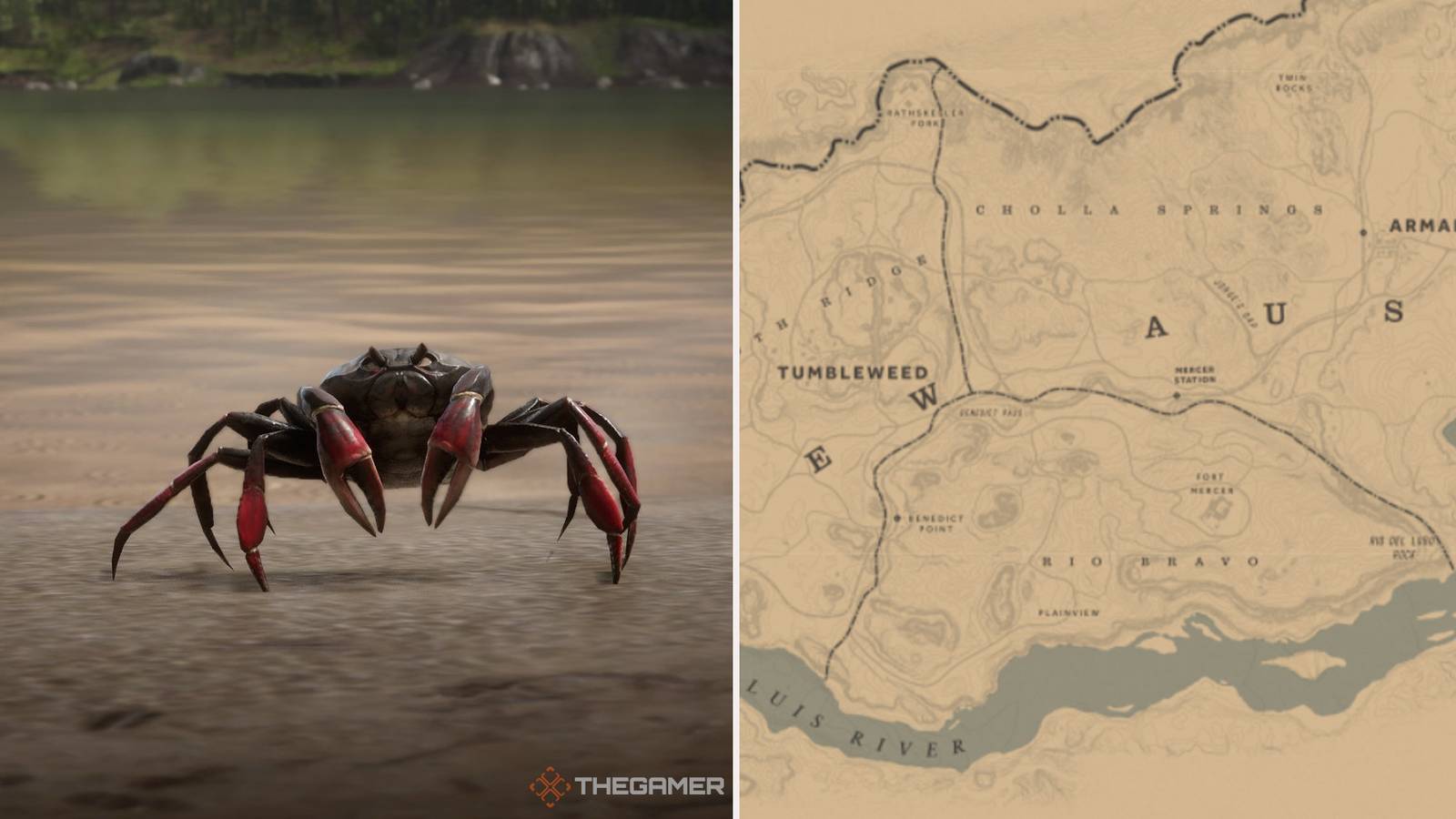 Cuban Land Crab Hunting Locations In Red Dead Online