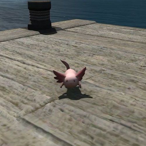 Final Fantasy 14 Аксолотль