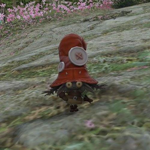 Final Fantasy XIV Guide To All Retainer Venture Minions