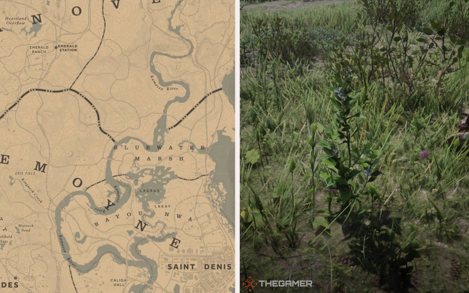 Best Indian Tobacco Locations In Red Dead Online