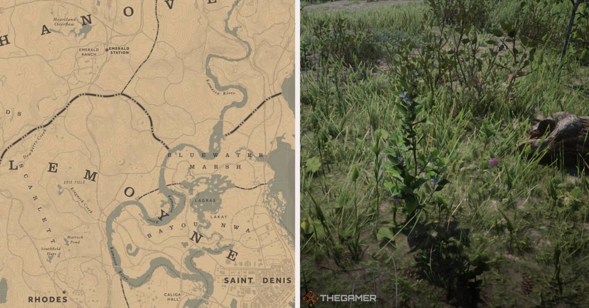 rdr2 recipes with indian tobacco Best Indian Tobacco Locations In Red Dead Online
