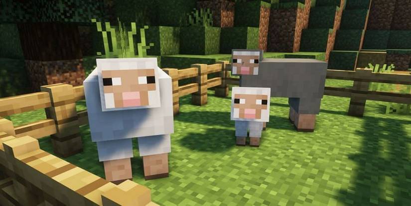 Best Video Game Sheep