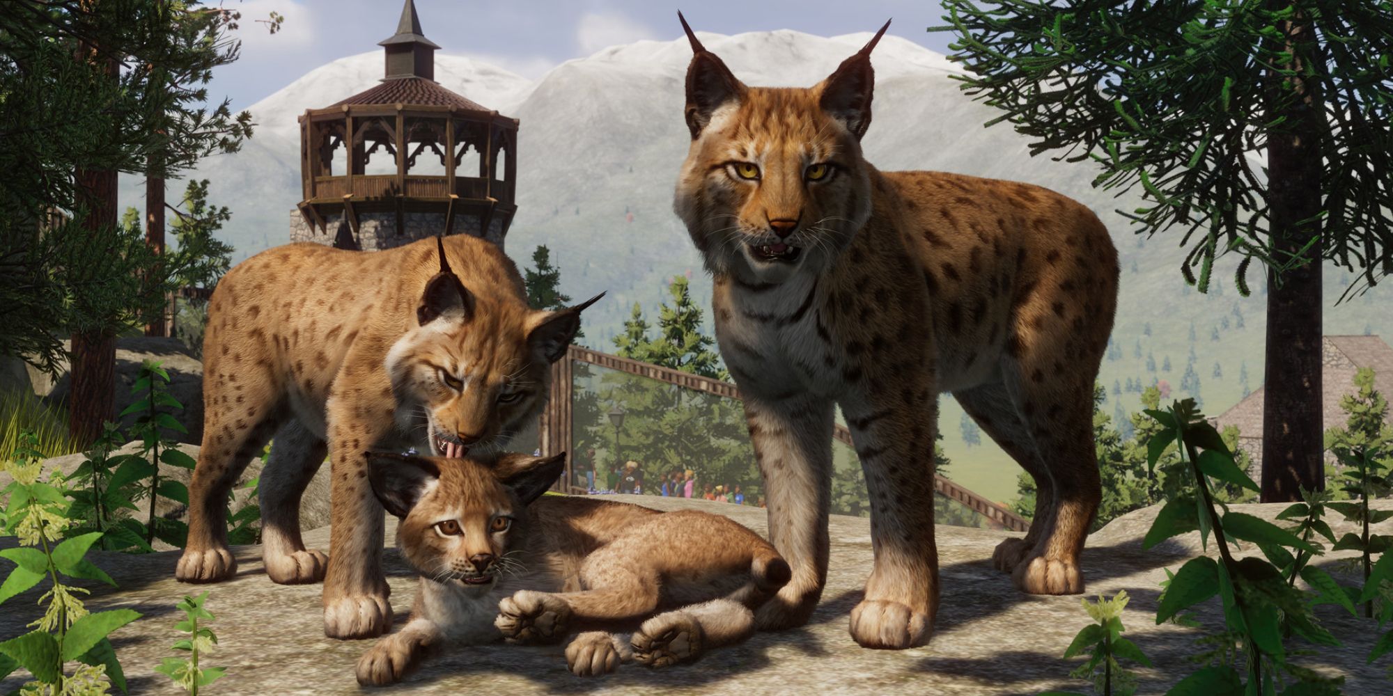 Planet Zoo Europe Pack Overview: Snowy Scenarios And Venetian Canals