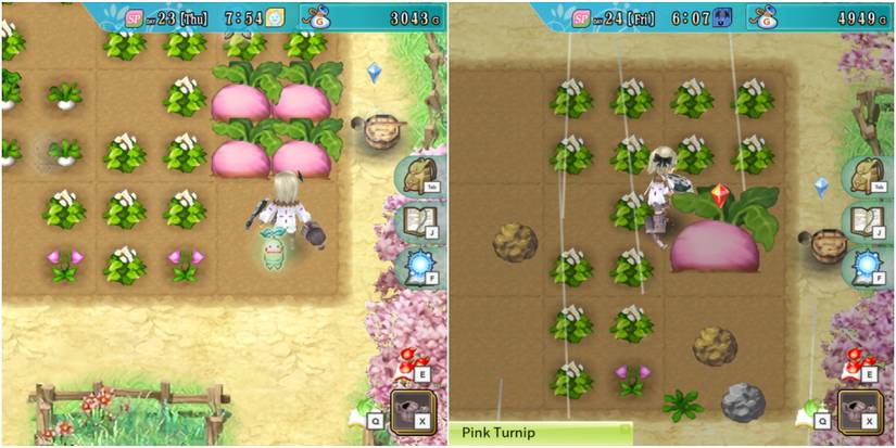 Rune Factory 4 Special: How To Grow Giant Crops
