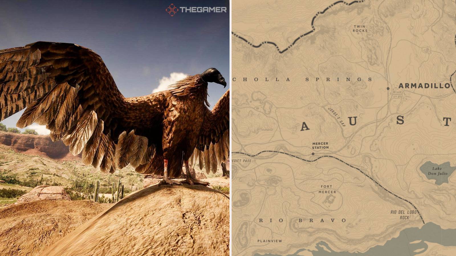 Where To Find Vultures In Red Dead Online