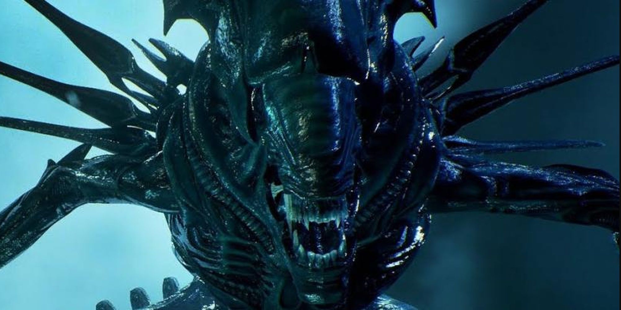 Alien Xenomorph Life Cycle, Explained