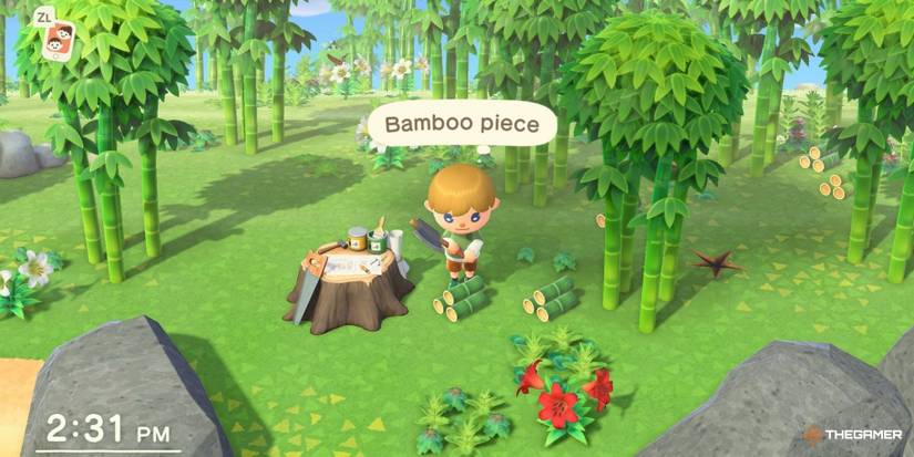 Animal Crossing: New Horizons - How To Get Bamboo