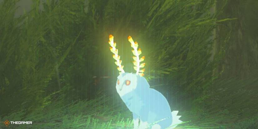Games With The Most Dynamic Wildlife