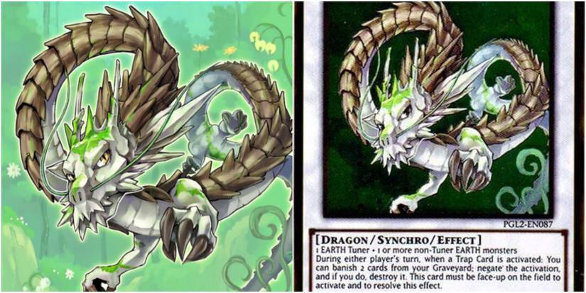 Yu-Gi-Oh! Master Duel: 10 Best Naturia Cards