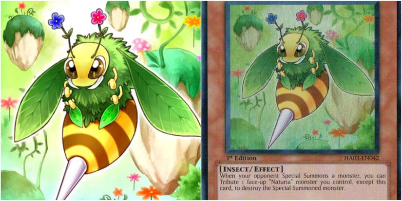 new yugioh god cards Yugioh Cards: NATURIA GAIASTRIO WSUP SUPER RARE # I89 – Archeron main image 0