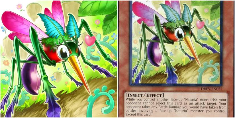 yugioh master duel naturia deck Amazon.com: Complete Custom Deck for Yu-Gi-Oh! GX
