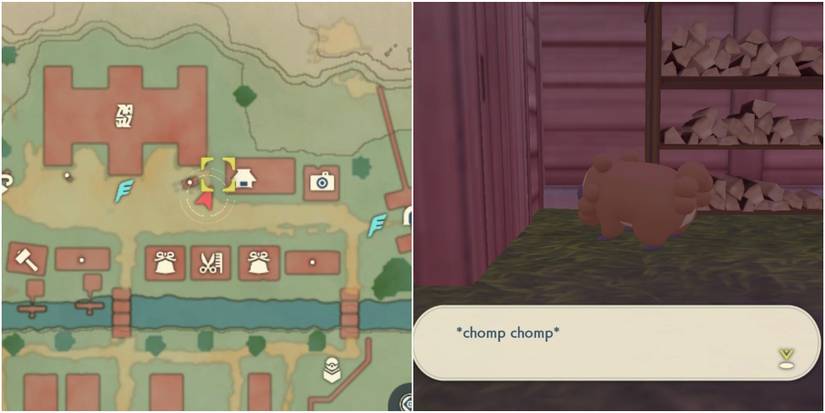 Pokemon Legends Arceus Bothersome Bidoof 3