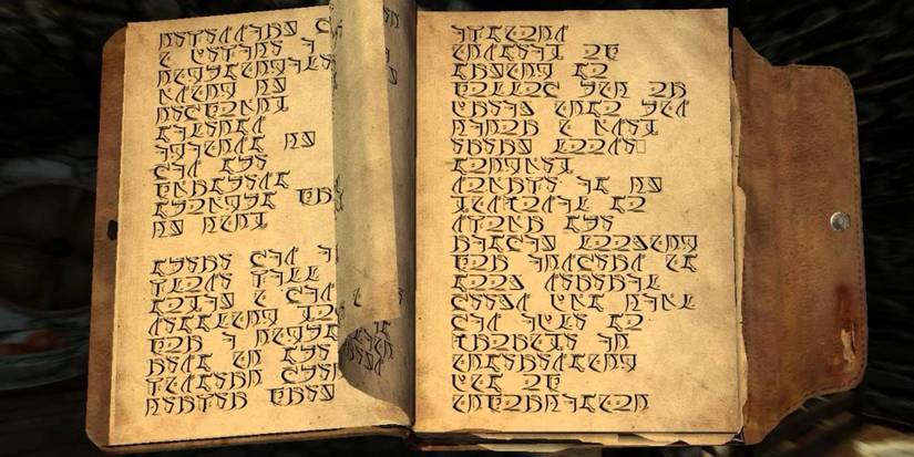 gallus' journal open 