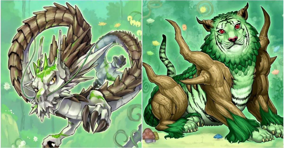 Yu-Gi-Oh! Master Duel: 10 Best Naturia Cards Yu-Gi-Oh! Master Duel: 10 Best Naturia Cards