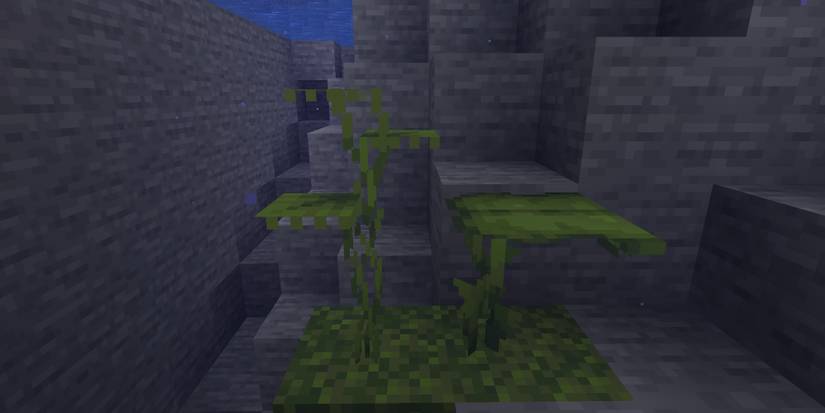 Where To Find A Dripleaf In Minecraft