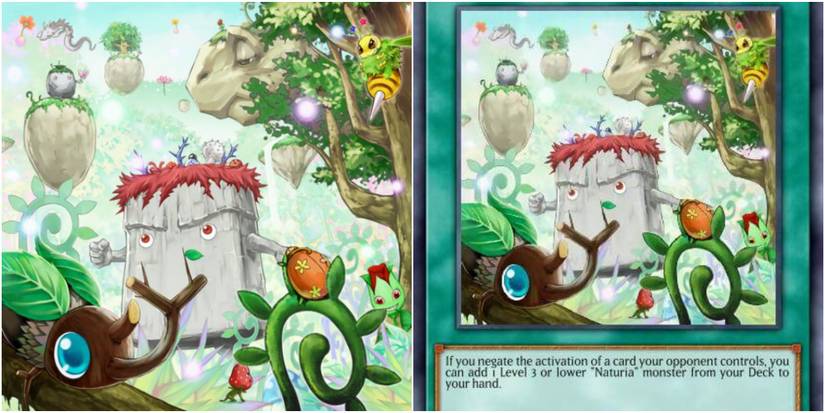 Yu-Gi-Oh! Master Duel: 10 Best Naturia Cards