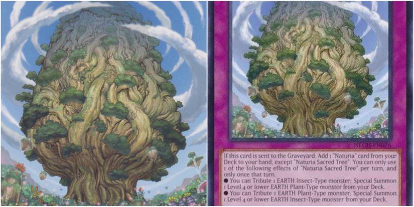 Yu-Gi-Oh! Master Duel: 10 Best Naturia Cards