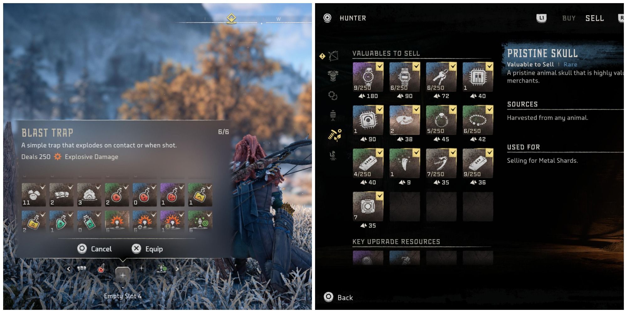 HFW Beginner Tips Split Image