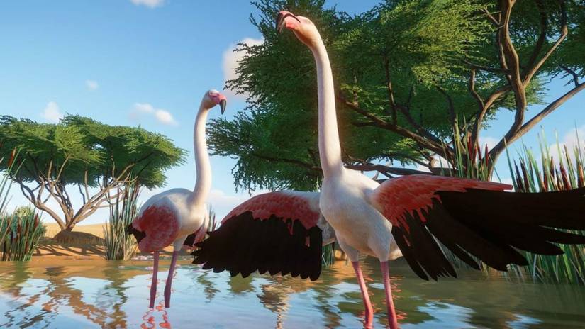 How To Check Your Shelter's Coverage In Planet Zoo