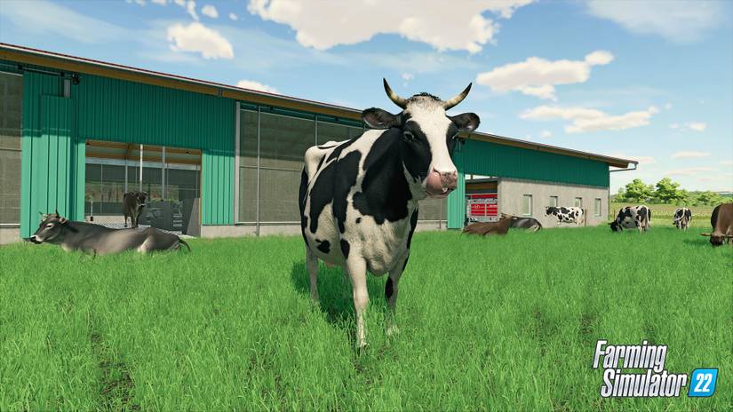 The Beginnings and Rising Popularity of Simulation Games