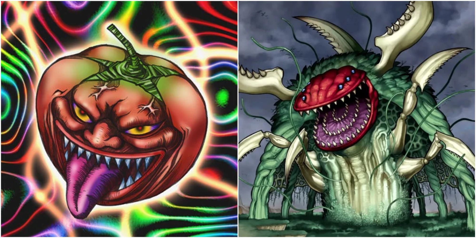 slushy yugioh card Amazon.com: Yu-Gi-Oh! - Puppet Plant (TU05-EN006) - Turbo Pack 5 - Promo  Edition main image 0