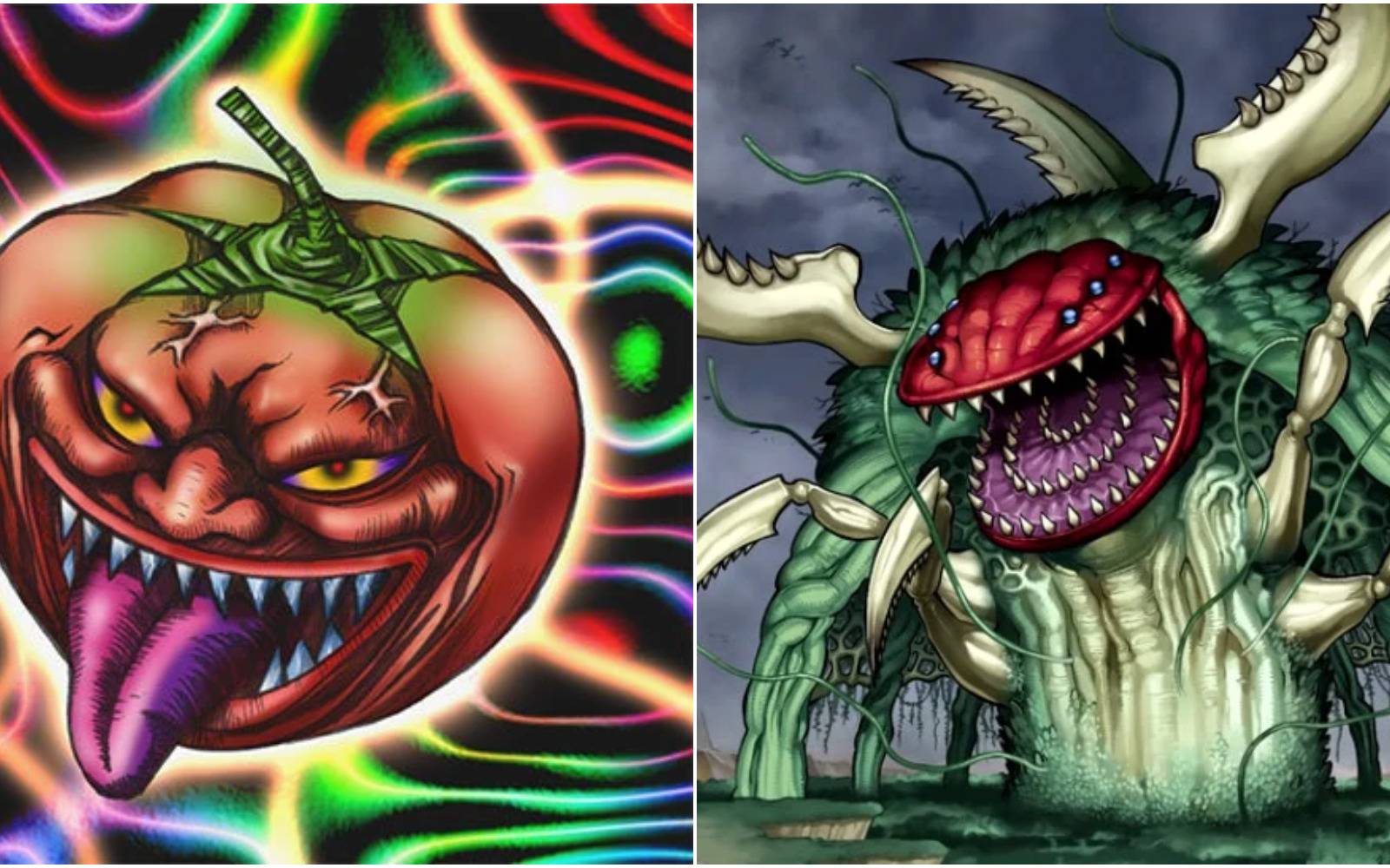yugioh best plant cards Complete Custom Deck for Yu-Gi-Oh! yugioh field cards Card discussion: