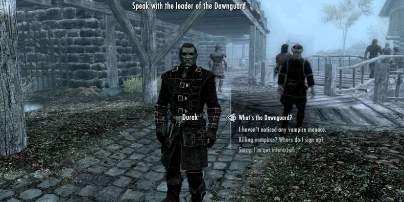 Skyrim: Who Are The Dawnguard?