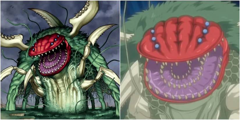 Best Plant Monsters In Yu-Gi-Oh! Master Duel
