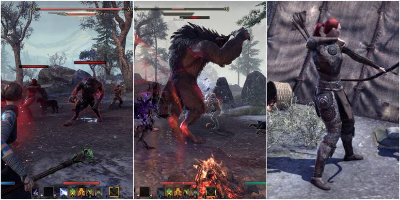 ESO: All World Bosses In Western Skyrim, Ranked