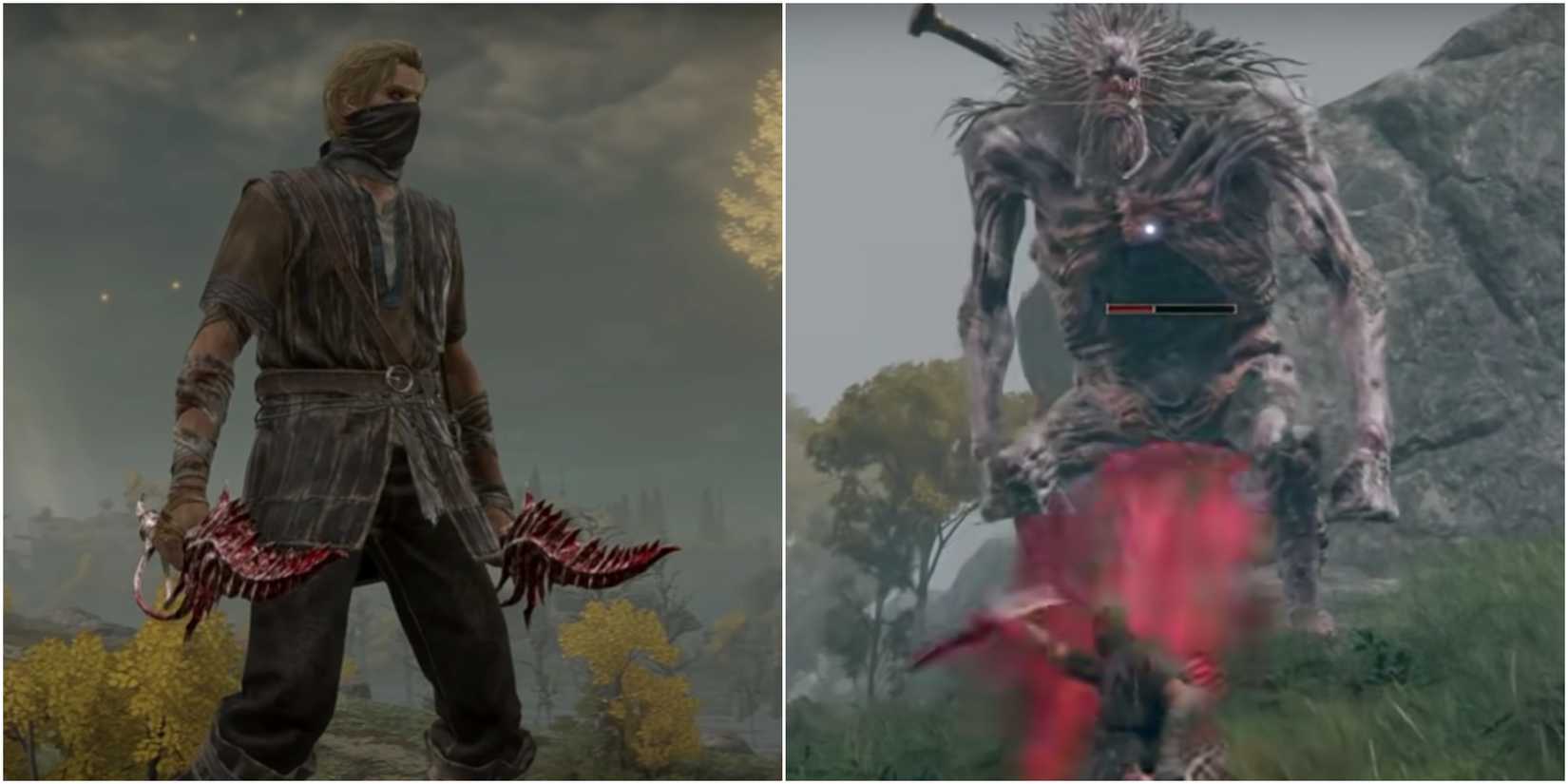 Split image of The Tarnished using the Reduvia Dagger in Elden Ring.