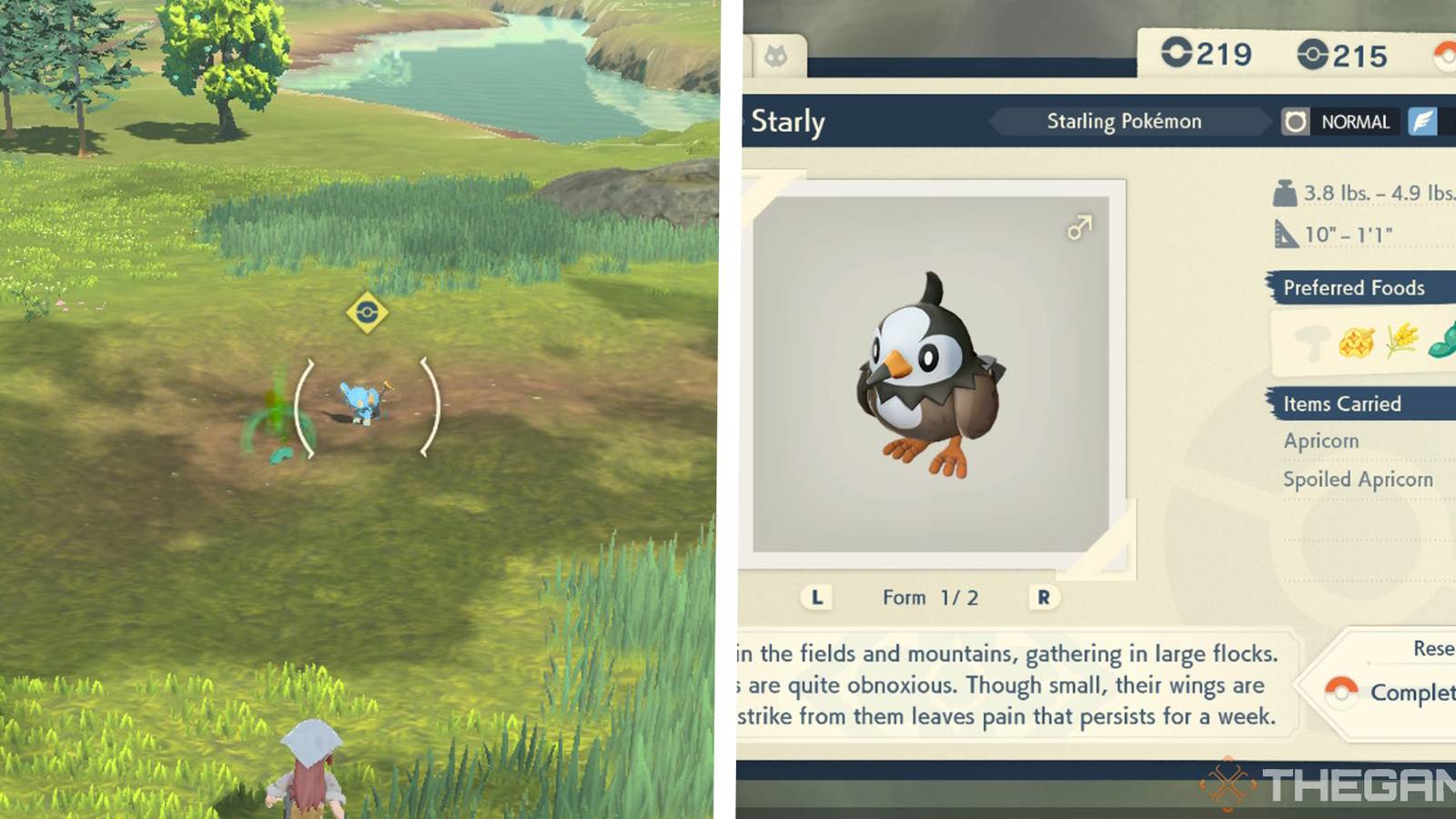 How To Feed Pokemon In Pokemon Legends: Arceus