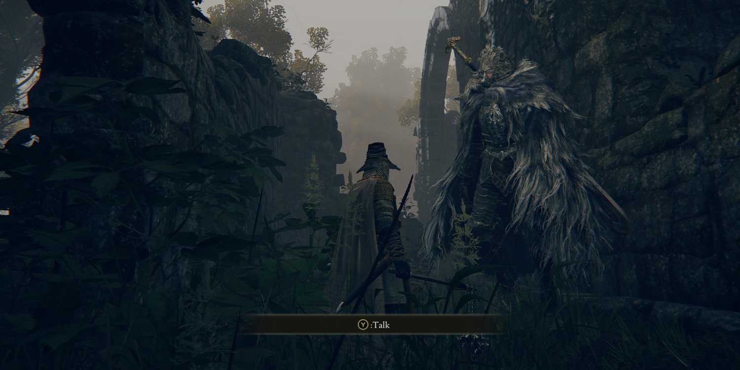 Blaith Ranking The Summons In The Starscourge Radahn Fight In Elden Ring