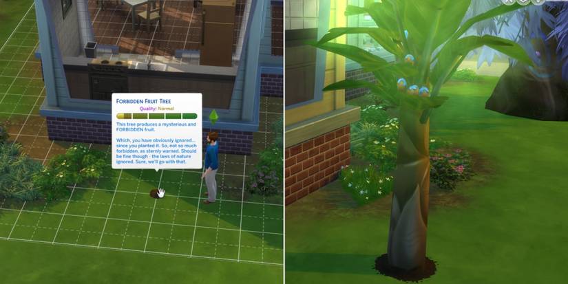 The Sims 4: Complete Guide To Plant Sims